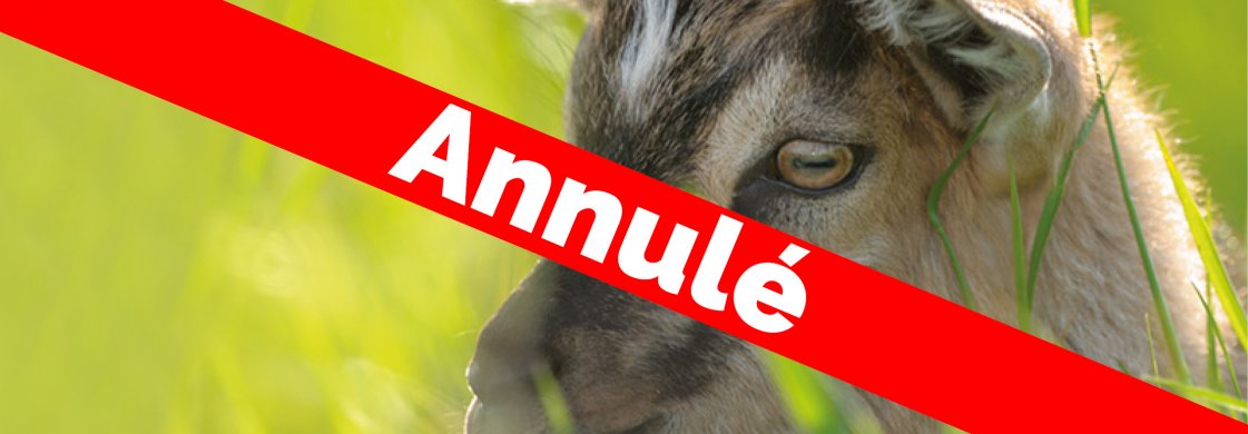 Concours de bestiaux