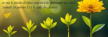 VŒUX À LA POPULATION