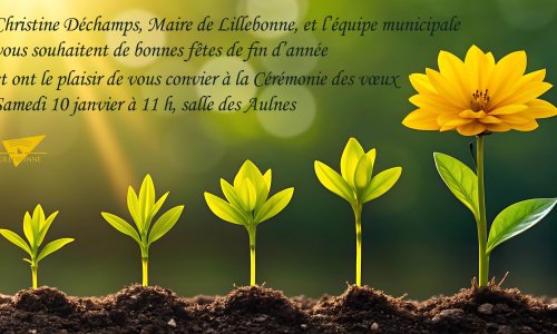 VŒUX À LA POPULATION