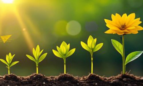 VŒUX À LA POPULATION