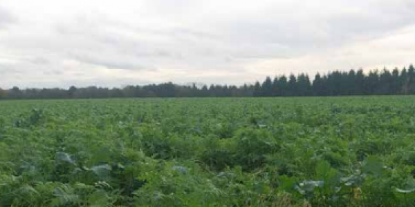 Bulletin d’informations du Bassin d’Alimentation du Captage de Caux Seine agglo