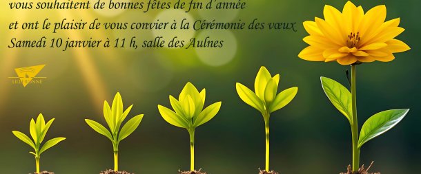 VŒUX À LA POPULATION